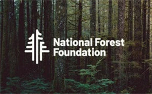 Magnaflow Overland Series Cat-Back Performance Exhaust System for 2.3L 2021+ Ford Bronco | 19556