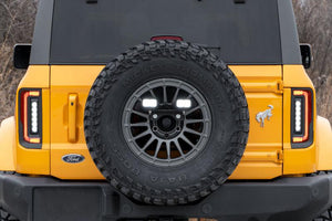 Diode Dynamics Stage Series Reverse Light Kit For 2021+ Ford Bronco | DD7354