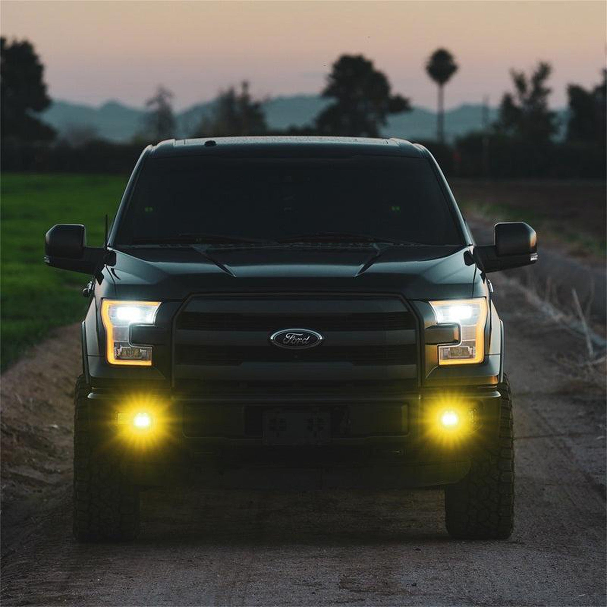 Rigid Industries D-Series SAE Fog Yellow/White Pair