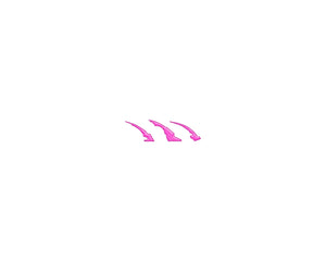 Tufskinz Raptor Emblem Claw Mark Inserts Fits 2022-2025 Ford Bronco Raptor