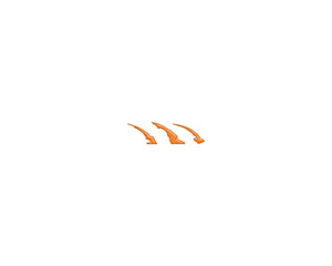 Tufskinz Raptor Emblem Claw Mark Inserts Fits 2022-2025 Ford Bronco Raptor