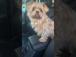 Bronco interior armrest protectors