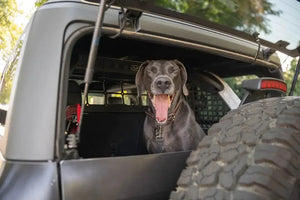 DV8 Offroad Pet Barrier for 21+ Ford Bronco | MPBR-10