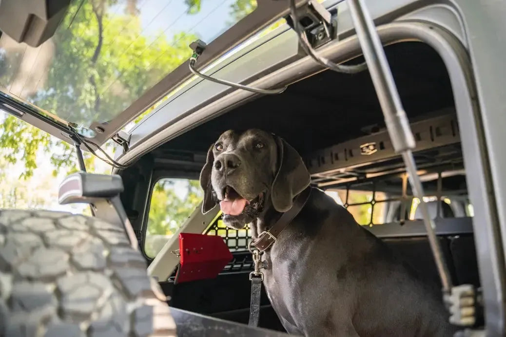 DV8 Offroad Pet Barrier for 21+ Ford Bronco | MPBR-10